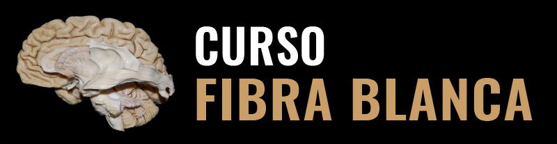 Curso Fibra Blanca